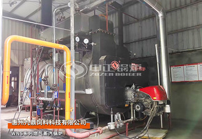 九鼎饲料WNS系列4吨燃气蒸汽锅炉项目