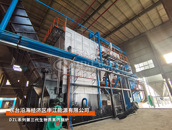 申江能源DZL系列20吨第三代生物质水管锅炉项目