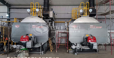 纺织行业吉尔吉斯斯坦WNS系列5吨燃气蒸汽锅炉项目