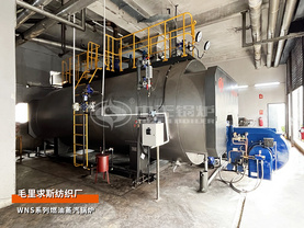 毛里求斯纺织厂10吨WNS系列重油蒸汽锅炉项目