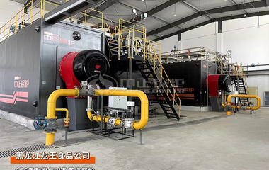 龙王食品SZS系列45吨燃气过热蒸汽锅炉项目