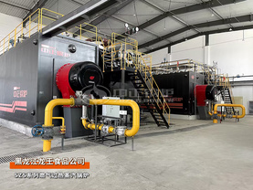 龙王食品SZS系列45吨燃气过热蒸汽锅炉项目