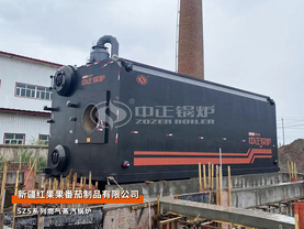 新疆红果果SZS系列35吨燃气蒸汽锅炉项目