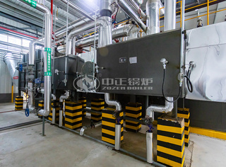 鲁洲集团在中国生物工程及发酵工业领域饰演着主要角色，对生产历程的稳固性和效率有着较高的要求。永乐高的SZS系列冷凝式水管蒸汽锅炉以其优异的热效率和稳固的供汽能力知足了这些需求。关于鲁洲集团而言，永乐高SZS系列锅炉在生物发酵历程中提供了精准的温度控制和稳固的蒸汽供应，从而确保了生产流程的平稳运行和产品质量的稳固