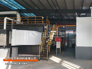 辽宁龙宇SZS系列20吨燃气蒸汽锅炉项目