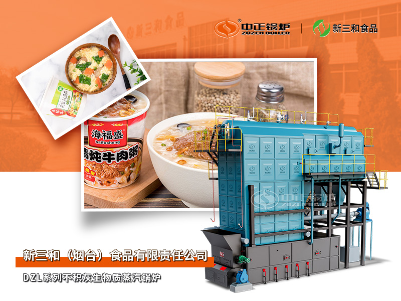 新三和食物DZL系列20吨不积灰生物质蒸汽锅炉项目