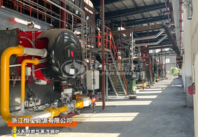 浙江恒玺55蒸吨和35蒸吨SZS系列燃气蒸汽锅炉集中供热项目