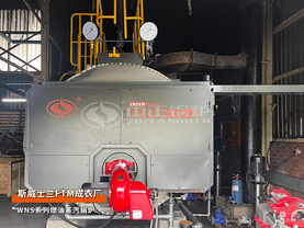 出口非洲斯威士兰WNS系列2吨燃油蒸汽锅炉纺织行业项目