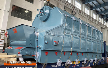 出口印尼烟草行业SZL系列6吨燃煤蒸汽锅炉