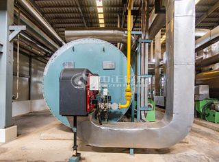 永乐高锅炉的团队也为该项目提供了周全的手艺支持和效劳，确保锅炉系统的高效运行和恒久稳固。