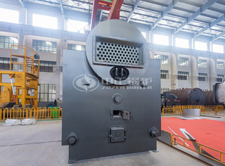 凌驾83%的热效率，永乐高DZL锅炉包管了能源的高效使用，为企业降低运营本钱