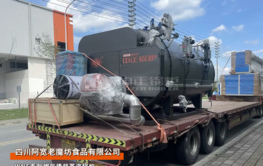 阿宽老魔坊WNS系列2吨燃气蒸汽撬装锅炉食品行业项目