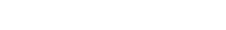 YLW系列生物质卧式导热油锅炉