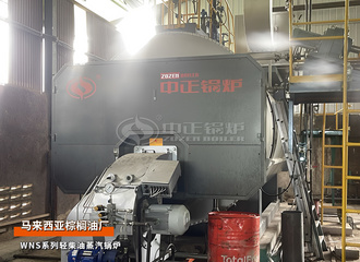 出口马来西亚WNS系列8吨三回程轻柴油蒸汽锅炉棕榈油行业项目
