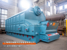 出口越南：SZL系列6吨生物质蒸汽锅炉泡沫材料厂项目