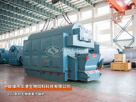 蚌埠华港生物饲料4吨DZL系列生物质蒸汽锅炉项目
