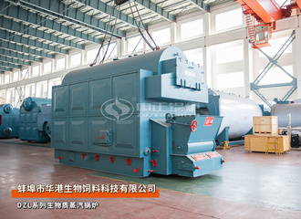 蚌埠华港生物饲料4吨DZL系列生物质蒸汽锅炉项目