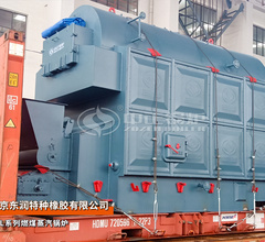 南京东润4吨DZL系列燃煤蒸汽锅炉项目