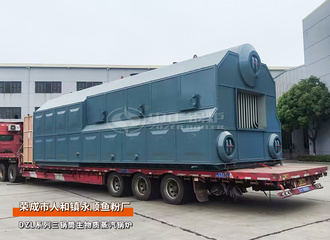 山东永顺鱼粉厂DZL系列15吨三锅筒生物质蒸汽锅炉食物加工项目