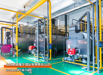 山西隆华煤业WNS系列10吨燃气蒸汽锅炉项目