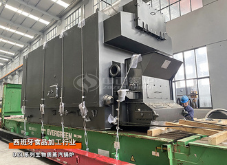 出口西班牙：DZL系列4吨生物质蒸汽锅炉食物加工行业