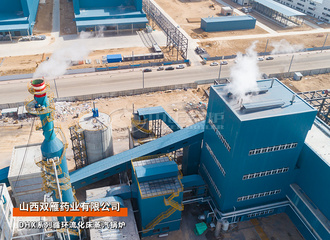 山西双雁药业DHX系列75吨循环流化床锅炉项目
