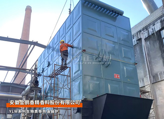 安徽金鹏YLW系列1000万大卡生物质导热油锅炉细腻化工项目