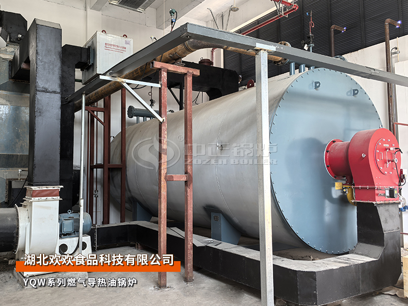 湖北欢欢食物8吨燃气蒸汽锅炉和500万大卡燃气导热油锅炉项目
