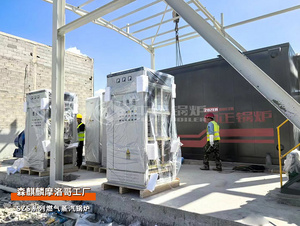 出口摩洛哥：森麒麟SZS系列燃气蒸汽锅炉轮胎行业项目