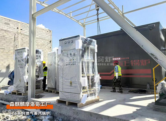 出口摩洛哥：森麒麟SZS系列燃气蒸汽锅炉轮胎行业项目