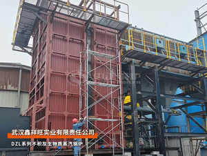 武汉鑫祥旺DZL系列18吨燃生物质蒸汽锅炉建材行业项目