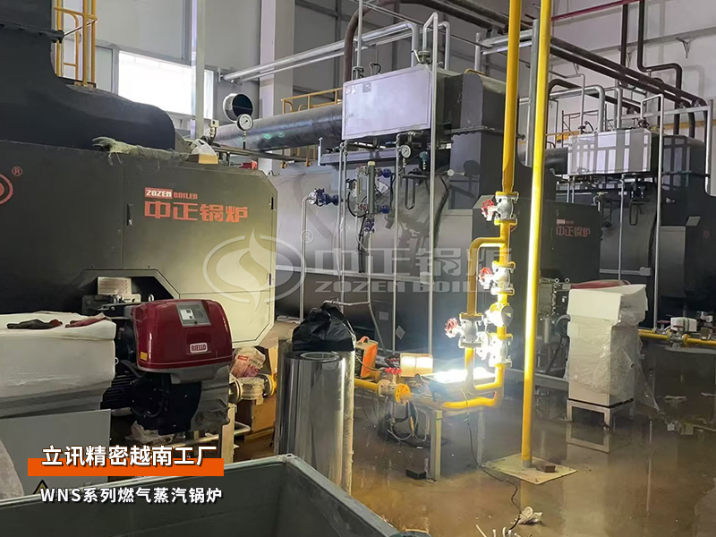 出口越南：立讯细密WNS系列6吨燃气蒸汽锅炉项目