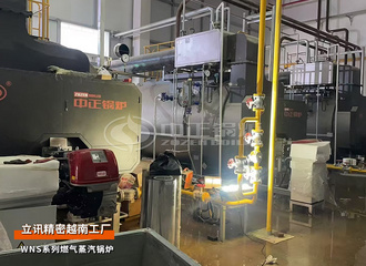 出口越南：立讯细密WNS系列6吨燃气蒸汽锅炉项目