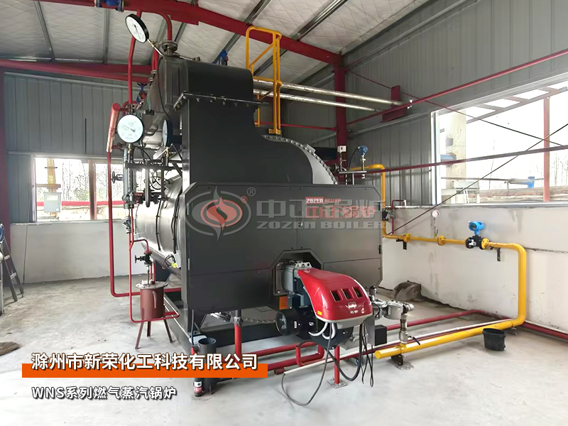 新荣化工WNS系列1吨燃气蒸汽锅炉项目