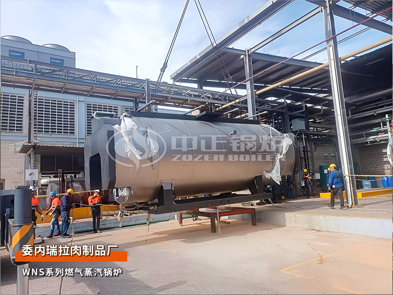 出口委内瑞拉：WNS系列10吨和5吨燃气蒸汽锅炉食物行业项目