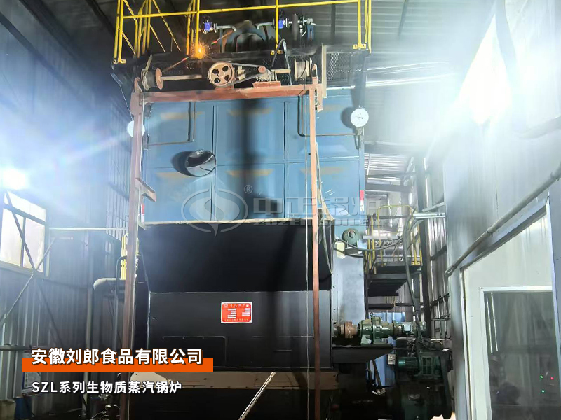 安徽刘郎SZL系列8吨生物质链条炉排蒸汽锅炉食物行业项目