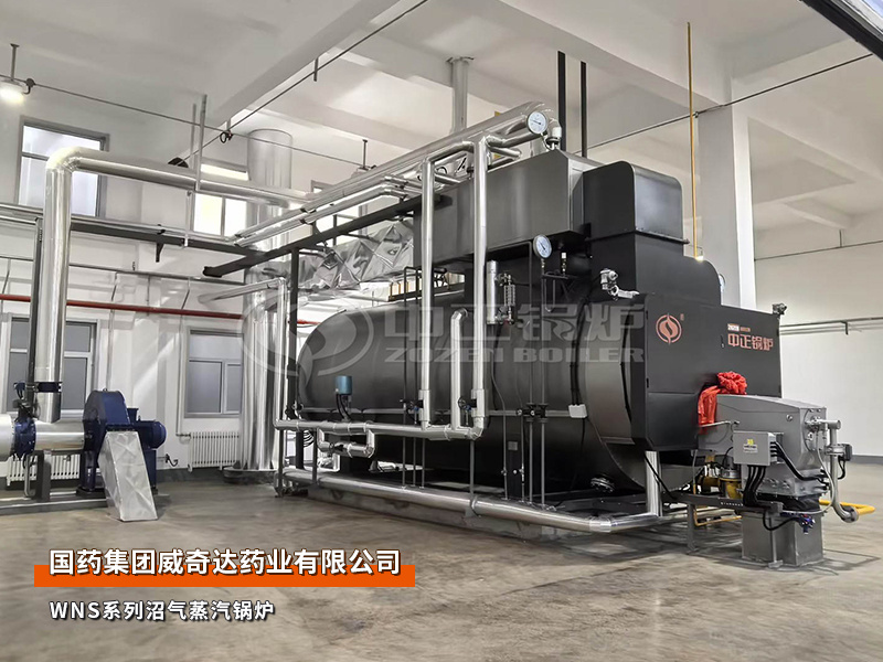 国药威奇达10蒸吨WNS系列绿色低碳沼气蒸汽锅炉项目