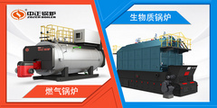 燃气锅炉和生物质锅炉事实该怎么。？？？？？？