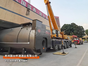 贵州国台WNS系列25吨燃气蒸汽锅炉酿酒行业项目