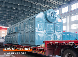 秦皇岛海山泡沫DZW系列12吨往复炉排生物质蒸汽锅炉项目