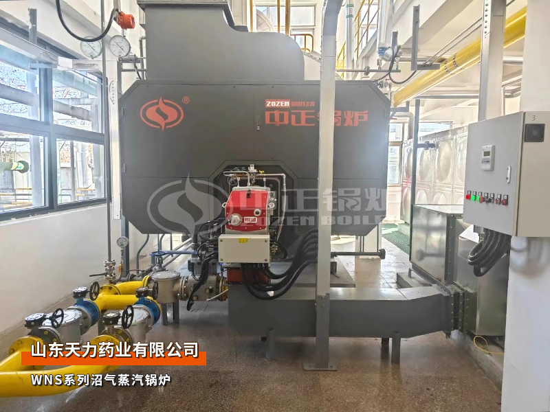 山东天力药业WNS系列8吨沼气蒸汽锅炉项目
