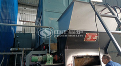 YLW系列生物质导热油锅炉厂家推荐