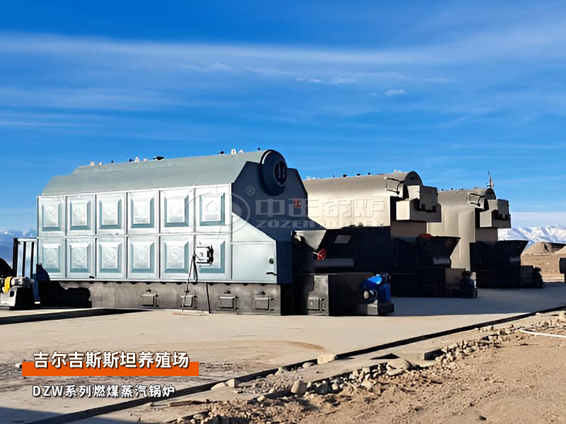 出口吉尔吉斯斯坦：DZW系列4吨和SZW系列4.2MW燃煤锅炉项目