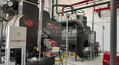 永乐高锅炉为国药威奇达提供节能沼气锅炉