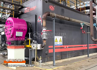 贵州织金SZS系列35吨电厂启动锅炉油改气项目