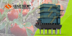 众腾娱乐50蒸吨SHL系列锅炉 驱动新疆番茄工业高效引擎?