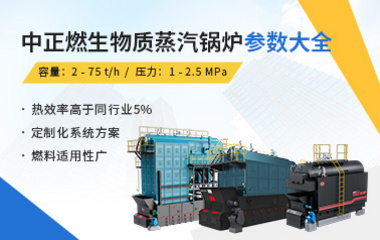 中正燃生物质蒸汽锅炉参数大全