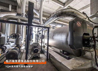 临沂瑞发德240万大卡YQW系列燃气导热油锅炉食物行业项目