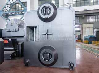 燃料顺应性强，普遍适用于生物质成型颗粒、稻壳、碎木片、玉米芯、木屑等多种生物质燃料。