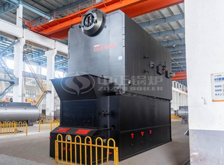 卧式双锅筒纵置结构，链条炉排设计，运行稳固可靠。